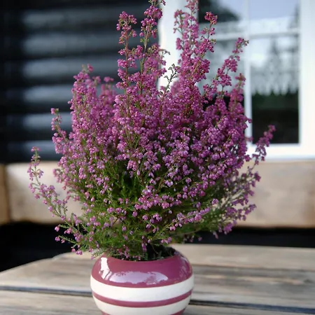 Reiherweg3a Appartement Südbrookmerland