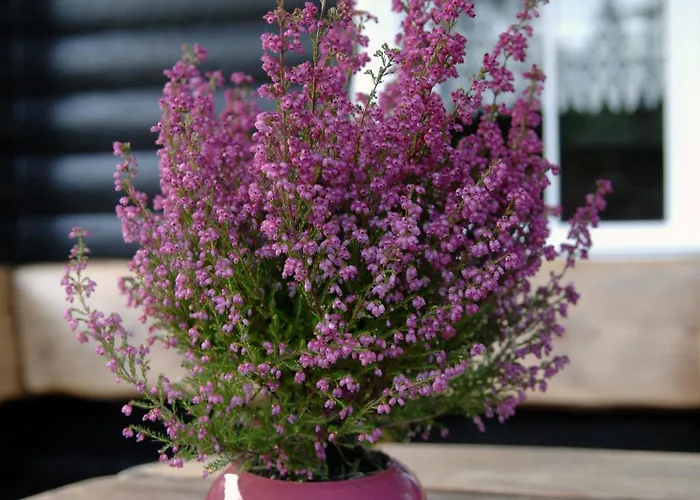 Reiherweg3a Apartman Südbrookmerland